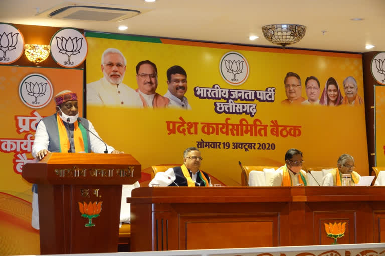 BJP Working Committee meeting