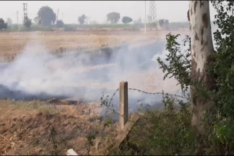 strict action taken by administration on burning of stubble in yamunanagar