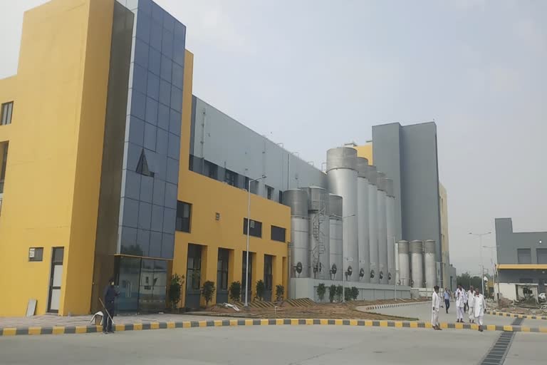 ajmer saras dairy latest news,  ajmer news