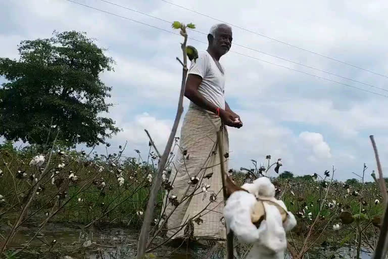 farmers from hingoli