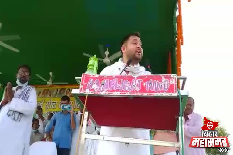 statement of tejashwi yadav on cm nitish kumar regarding assembly election