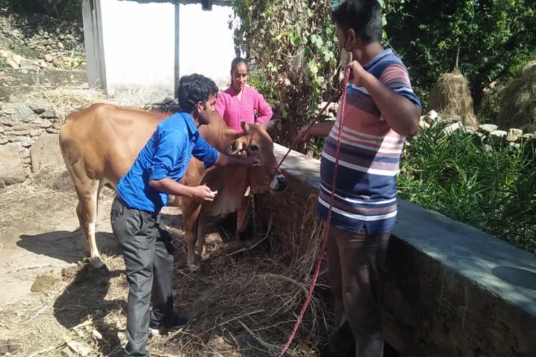 राष्ट्रीय पशुधन रोग नियंत्रण कार्यक्रम