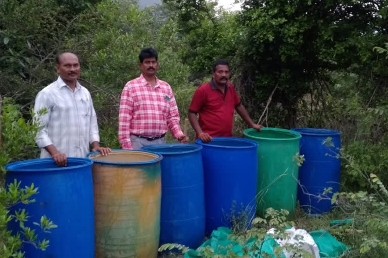 Destroyed 1200 liters of herb jaggery at prakasham district