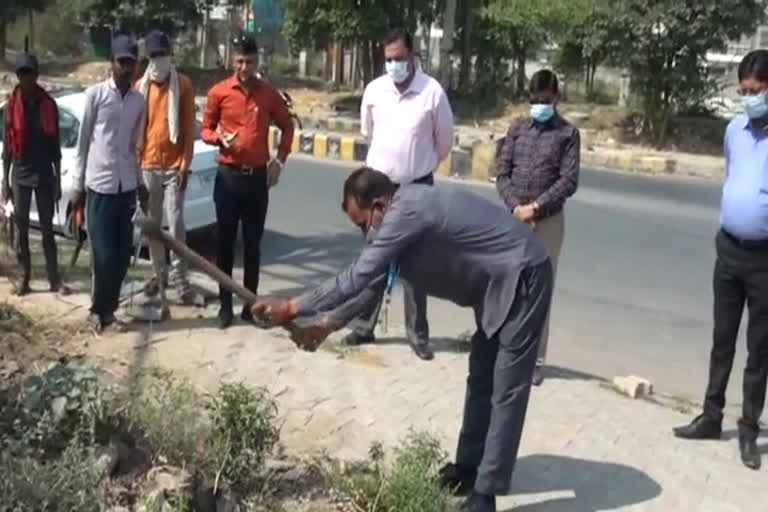 GD Goenka University did plantation in gurugram