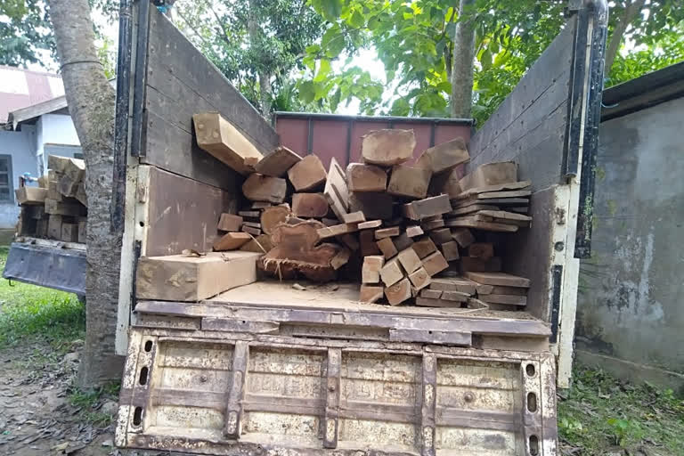 Seized chagun wood with truck in Karimganj