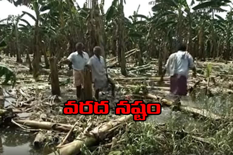 వరద తగ్గింది.. పంట నష్టం తేలుతుంది