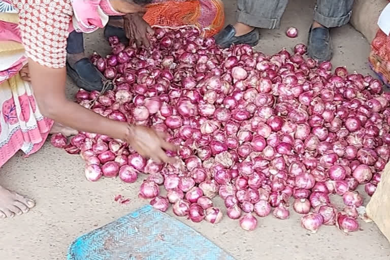 Onion price