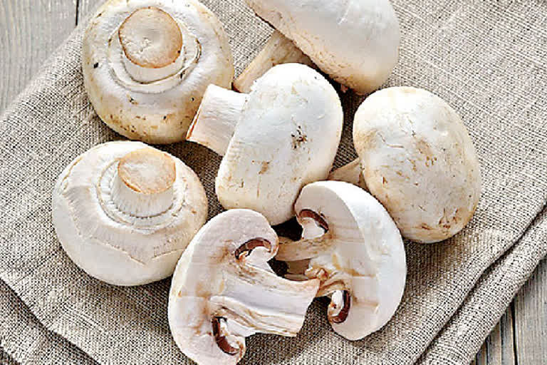 mushroom diet to combat COVID-19