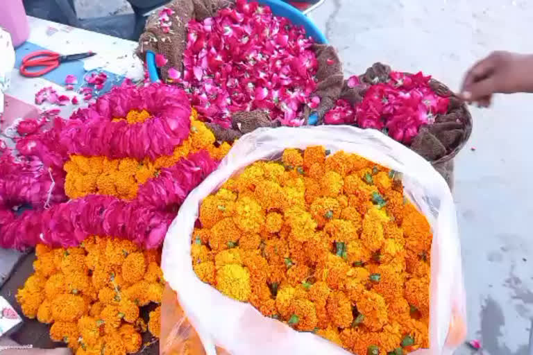 flower rates increased in festive season in sirsa