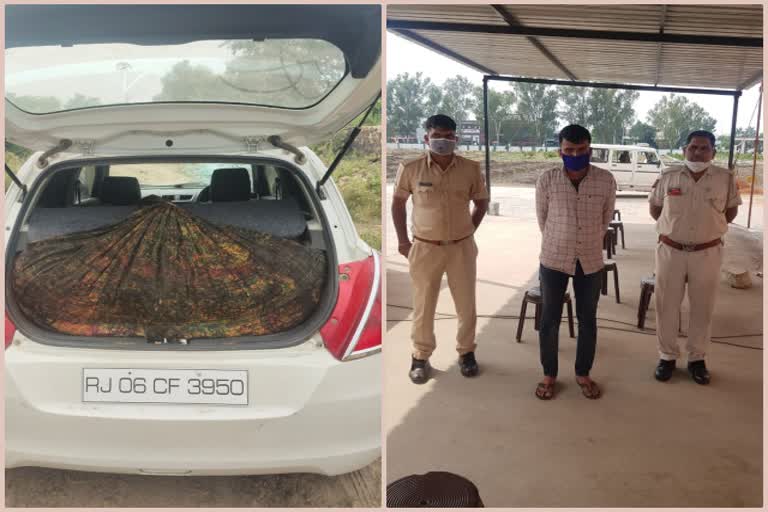 चित्तौड़गढ़ में डोडा चूरा जब्त, Doda sawdust seized in Chittorgarh
