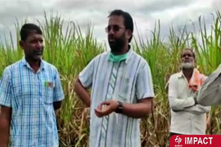 Thashildar visits Paramanandawadi village