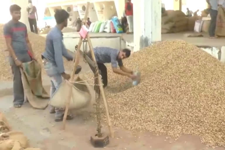 Purchase of peanuts