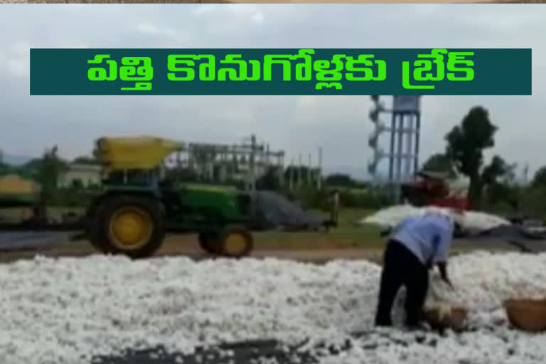 Cotton Purchase Stopped in Adilabad District