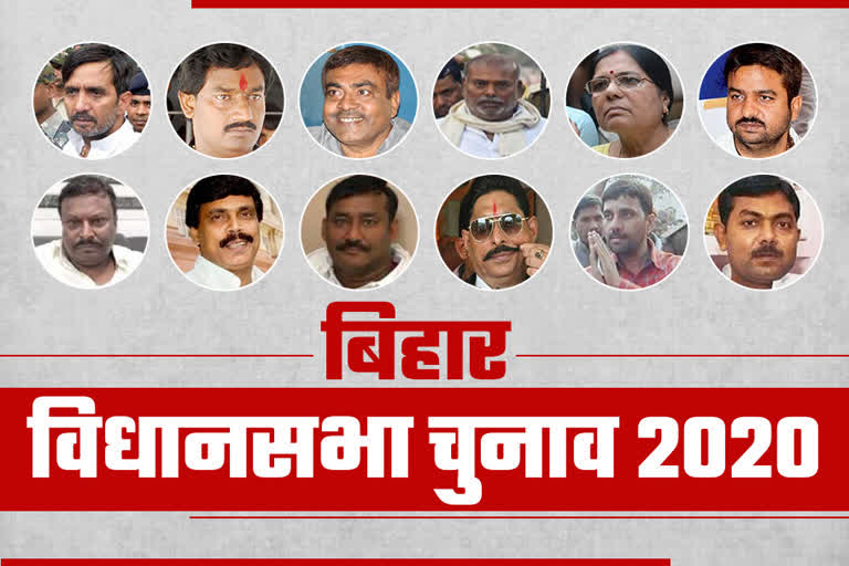 Bihar Assembly Elections