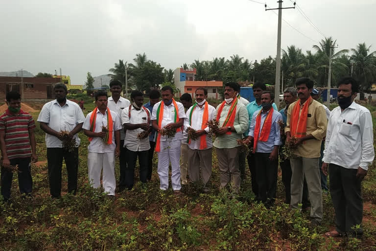 kisan morcha leaders visits kalyanadurgam