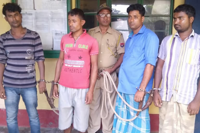 cattle smuggler arrested at dhubri