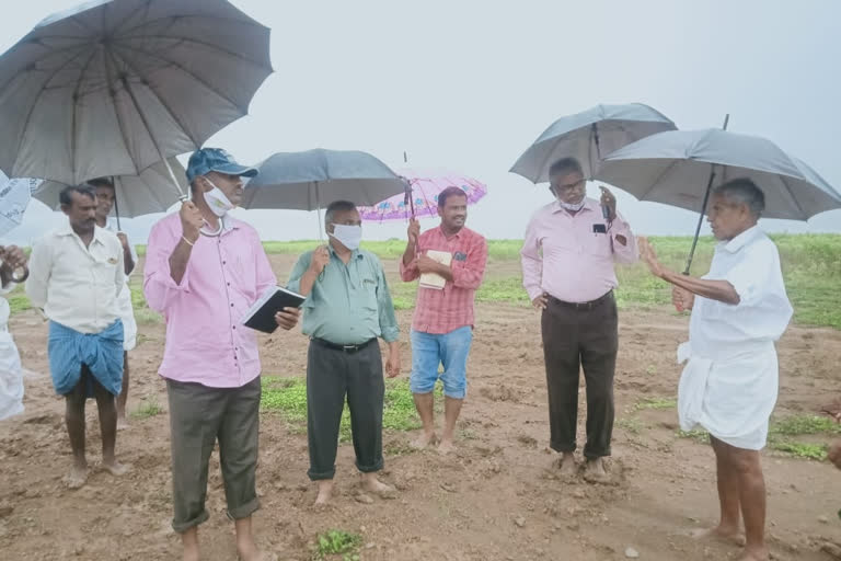 agriculture officers visit