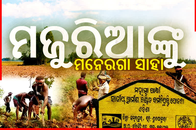 କୋରୋନା କାଳରେ ଗରିବଙ୍କୁ ସାହା ମନେରଗା ଯୋଜନା