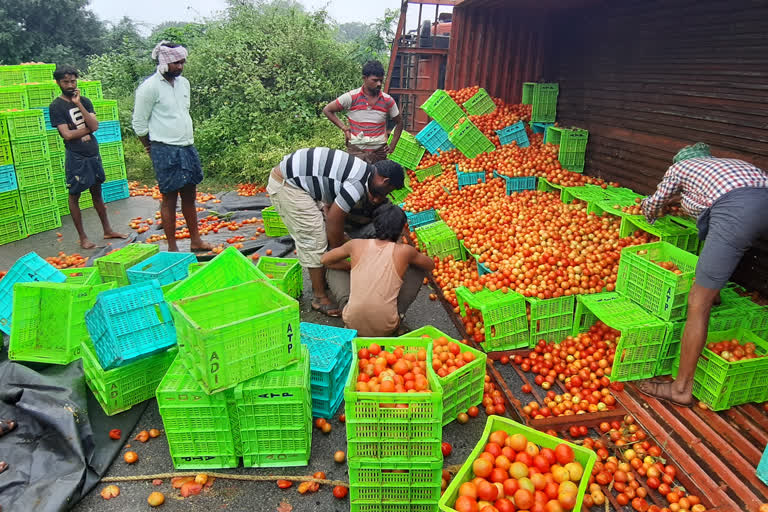 tomatoes  lorry overturned