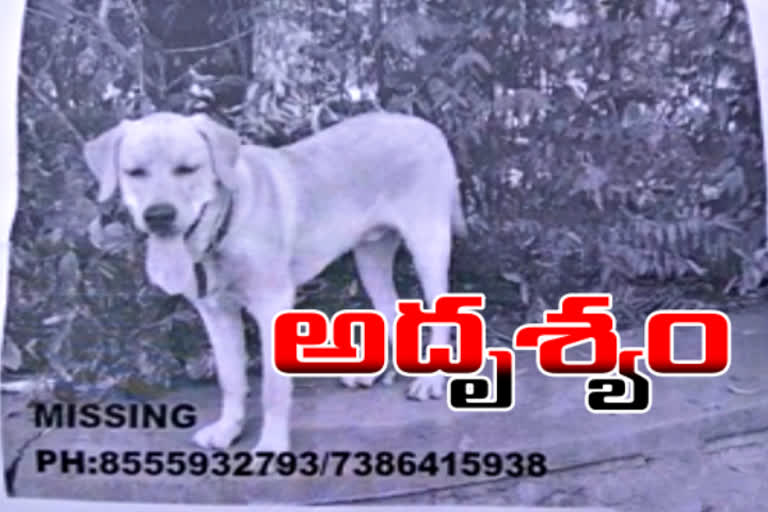 comaplaint on pet dog missing at kushaiguda