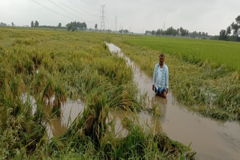 ದಾವಣಗೆರೆಯಲ್ಲಿ ಮಳೆ ಅವಾಂತರ