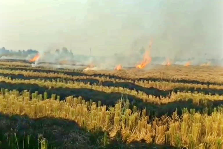 case file on 21 farmer in fatehabad due to stubble burning