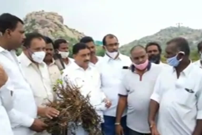 kalava srinivasulu on flood efffect on ground nut farmers