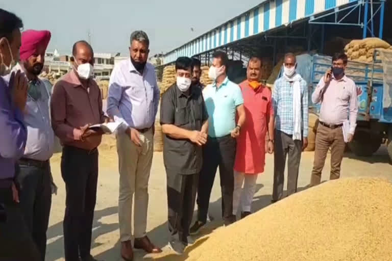 hafed chairman bhagat visited the grain markets of kurukshetra