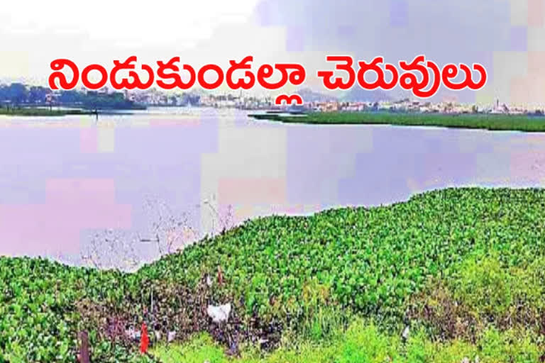 Telangana ponds and lakes are flooded