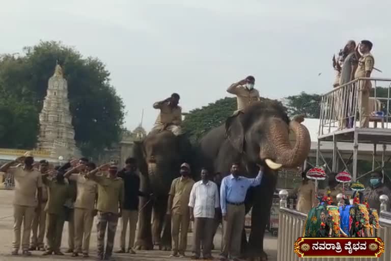 mysore-dasara-jumbo-savari-rehearsal