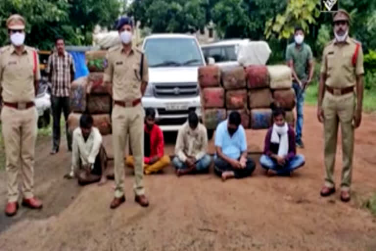 Telangana Police seizes 590 kgs of cannabis