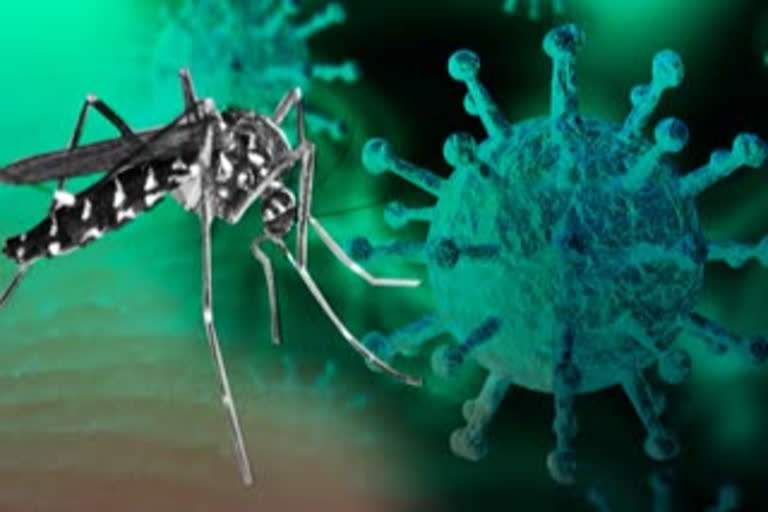 Salem corporation dengue awareness