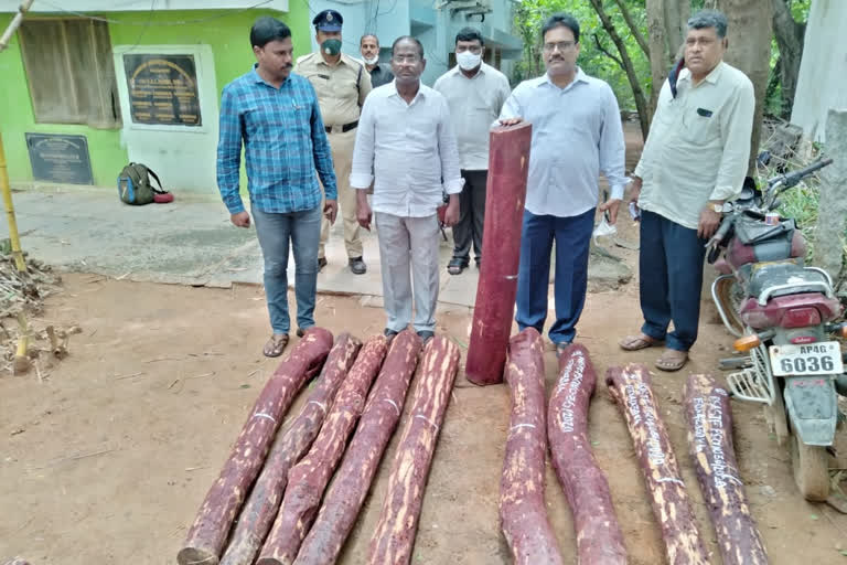 Two red sandalwood smugglers arrested