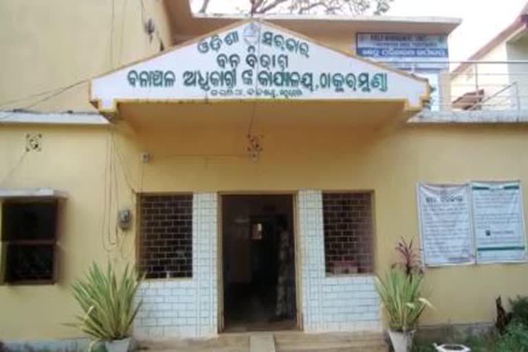 50 ହଜାର ମୂଲ୍ୟର ଶାଳ ସାଇଜ କାଠ ଜବତ, 2 ଗିରଫ