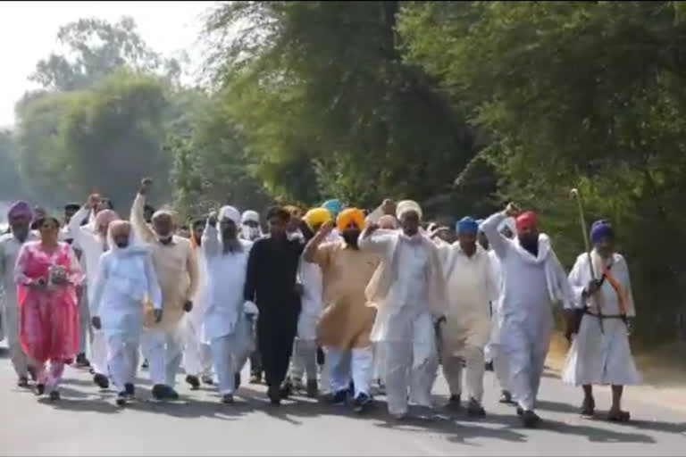 farmers protest in sirsa over agriculture law