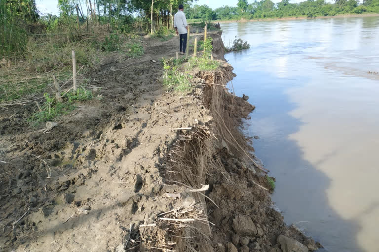 মৰাণত বুঢ়ীদিহিং নদীৰ ভয়াৱহ খহনীয়া