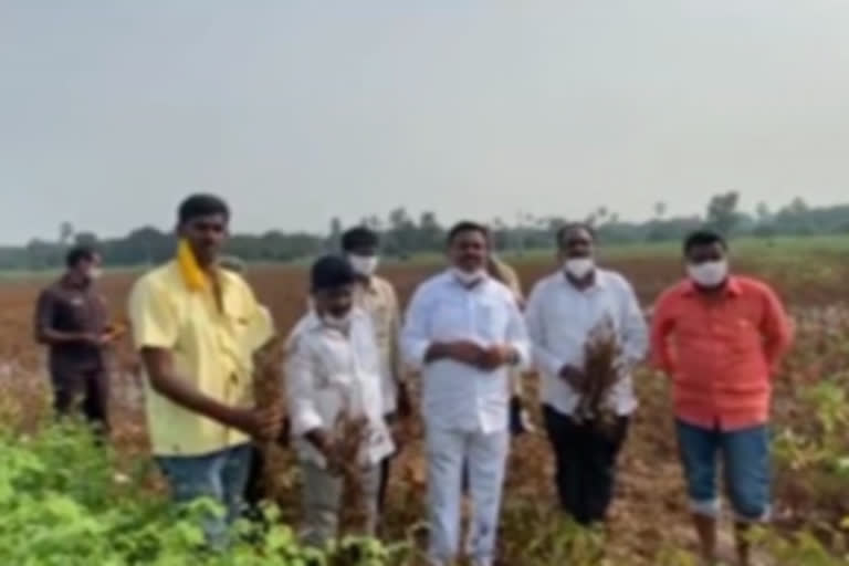 tdp leader bacula on floods in andhra pradesh