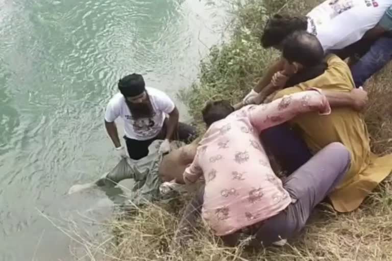 dead body found from bhakra canal kurukshetra