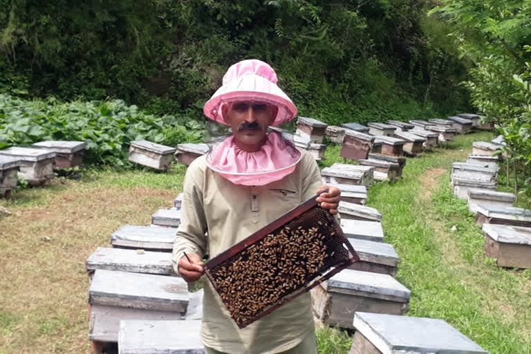 beekeeping business