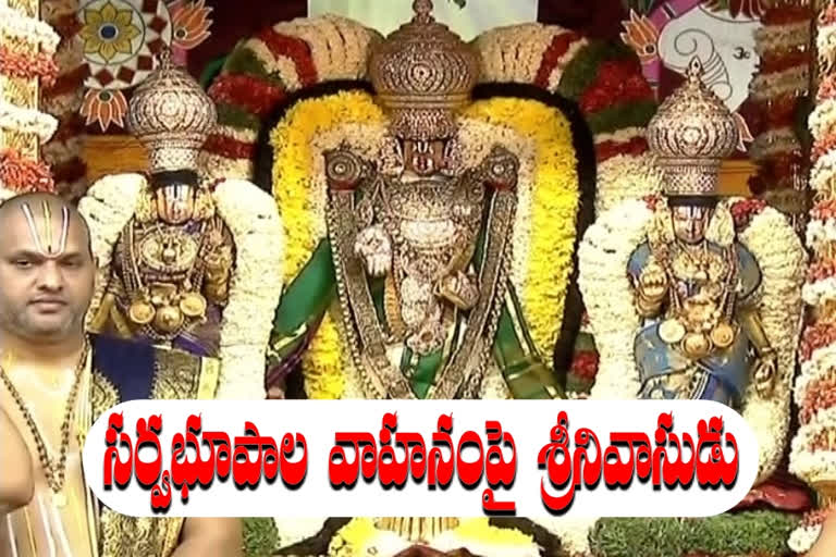 తిరుమల బ్రహ్మోత్సవాలు: సర్వభూపాల వాహనంపై శ్రీవారి దర్శనం