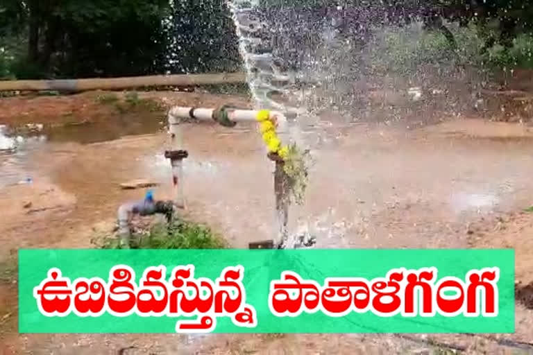 water came from borewell in madanapalle chitthore district