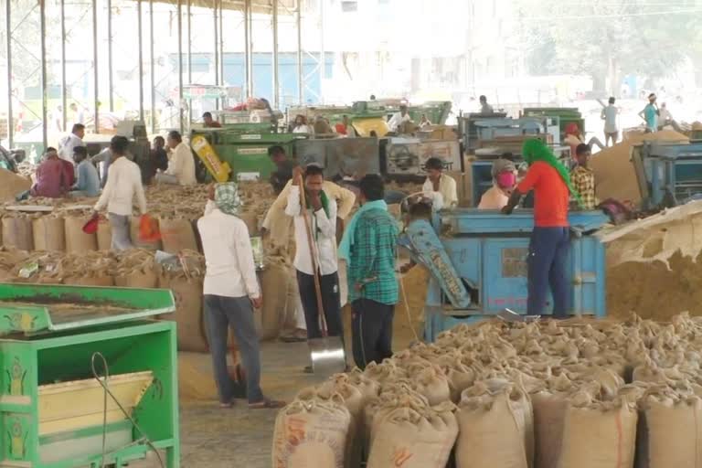 Migrant labourers