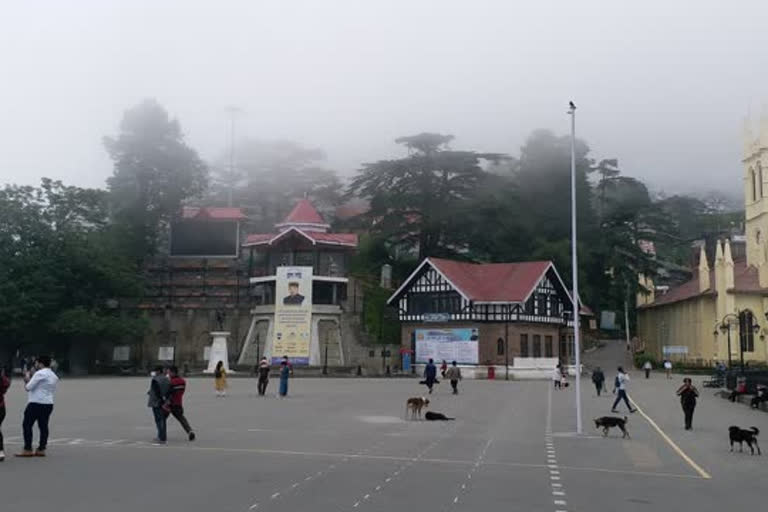 ridge shimla