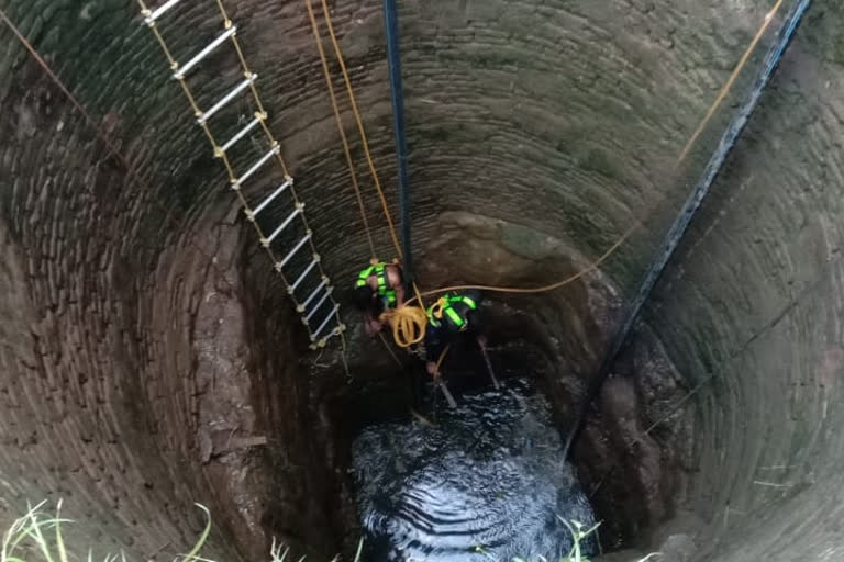 child falls in a well while playing in chhindwara