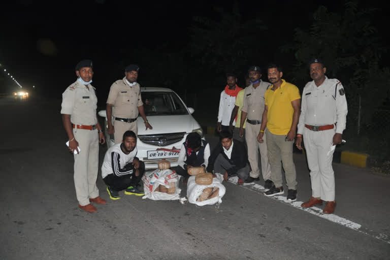 three  accused arrested for illegal transportation of hemp in raipur