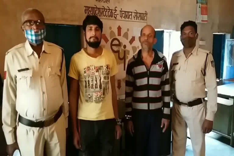 Ganja smuggler arrested