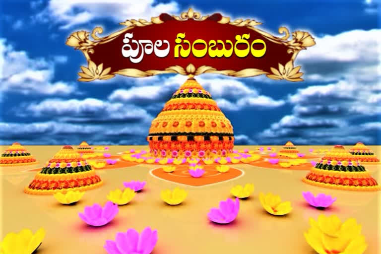 saddula bathukamma celebrations in hanamakonda