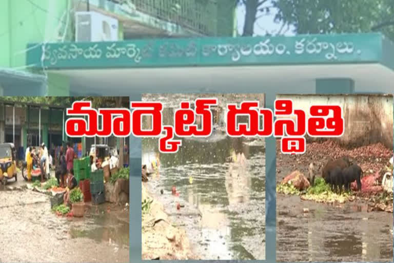 vegetable market stinky in kurnol