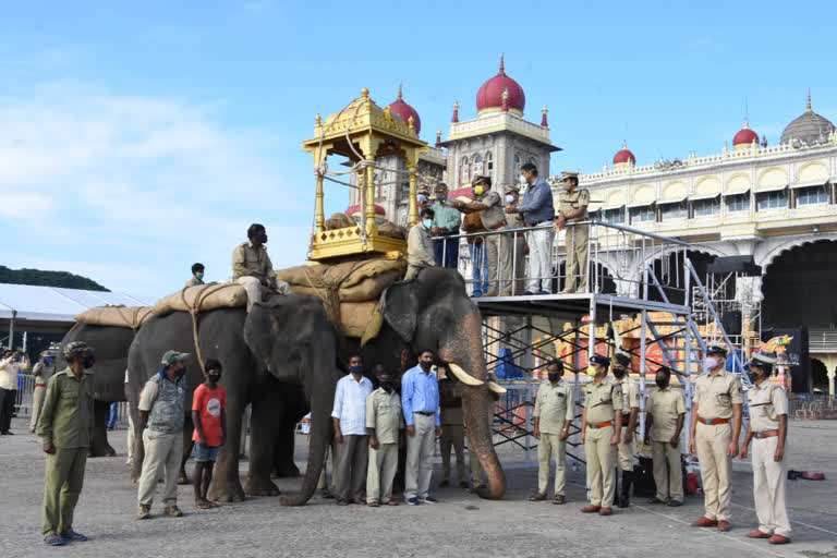 Jumbo Savari