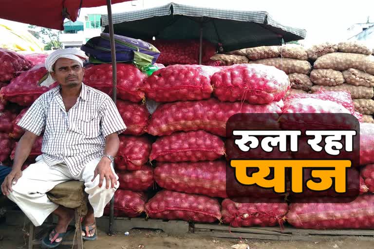 Onion cultivation in Uttarakhand